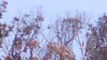 Kayaking es una de las múltiples actividades que ofrece el Morro Bay Adventure Pass.