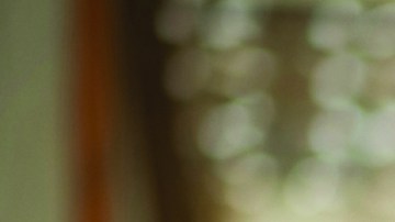 Los pequeños negocios pertenecientes a latinos son el segmento con crecimiento más rápido en el país.