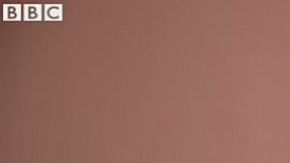 "Siempre he sido cuidadosa sobre esta ley (alta traición)", le dijo a la BBC Patnaree Chankij.