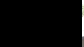 perrita