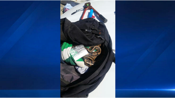 Las drogas y el reptil estaban dentro de la mochila de Steven Vanbuskirk.