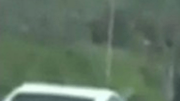 Jóvenes en California se han apostado la suerte al montar sus patinetas sobre autopistas congestionadas.