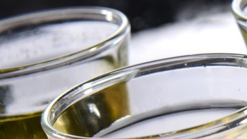 Celebra el Cinco de Mayo con un traguito de tequila, ¡pero bebe con responsabilidad!