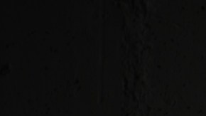 shutterstock_186739049