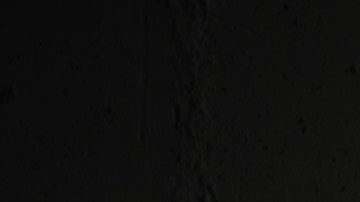 shutterstock_186739049