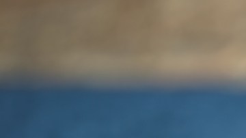 aguila pescadora