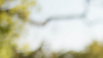 Yamilex Rústrian es una joven activista.