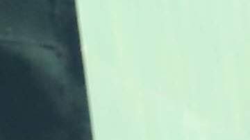 Nuevas reglas para los trabajadores en Times Square empezaran a regir el 21 de Junio.
Photo Credito Mariela Lombard/El Diario NY.