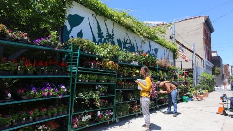 Nuestros Barrios- Red Hook, Brooklyn. Photo Credito Mariela Lombard/El Diario NY.