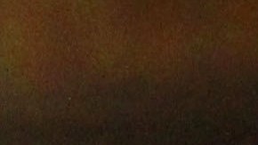 Presidenta del Concejo Melissa Mark-Viverito durante la sesión. Mariela Lombard/El Diario NY.