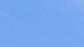 Congresistas Carolyn Malone y Nydia Velazquez con el fiscal de Manhattan Cyrus Vance Jr., Controler Scott Stringer y la defensora del Pueblo Letitia James durante una conferencia de prensa en la alcadia para llamar a los controles de las armas.
Photo Credito Mariela Lombard/El Diario NY.