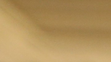 Baños seran unisex en restaurantes.
Photo Credito Mariela Lombard/El Diario NY.