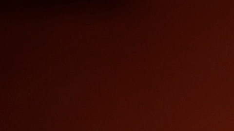 Diana Colín del Fondo de Acción de la Coalición por los Inmigrantes de Los Ángeles (Chirla) dijo que el registro de votantes latinos creció en 192%.