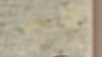 El presidente cubano Raúl Castro (c), posa junto a otros mandatarios en la Cumbre de la AEC en La Habana, Cuba,