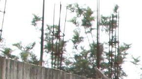 Agentes de la policía estatal de Veracruz montan guardia en un retén ubicado en los límites del municipio de Emiliano Zapata, en el estado mexicano de Veracruz.