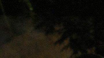 Médicos forenses trasladan el cuerpo de una persona en México.