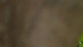 Autoridades mexicanas hallaron los cuerpos de siete leñadores decapitados en la sierra del municipio de El Rosario, en el noroccidental estado de Sinaloa.