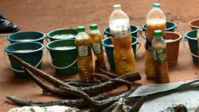 40 cachorros de tigre y hasta un jabalí fueron hallados en los contenedores de basura de este templo.