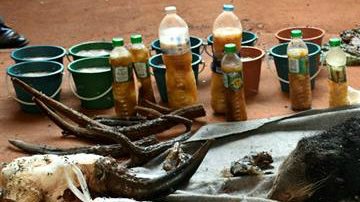 40 cachorros de tigre y hasta un jabalí fueron hallados en los contenedores de basura de este templo.