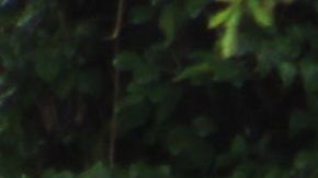 Vecinos afectados por las graves inundaciones en el condado de Montgomery, al norte de Houston, ven con desconsuelo cómo se dañó su patrimonio.