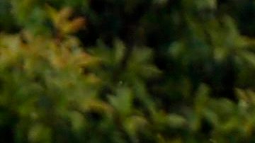 Policías inspeccionan el lugar donde se ha producido un atentado en Estambul. Al menos 11 personas han muerto y 36 han resultado heridas al estallar hoy un coche bomba.