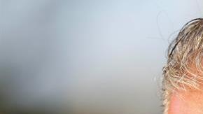 Tite, es el nuevo timonel del 'Scratch du oro'.