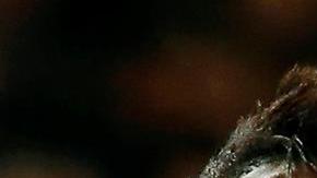 Samuel Umtiti tiene 22 años y mide 1.81 m.