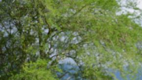 Ganadero en su campo rodeado de montañas en el Departamento del Cauca en Colombia