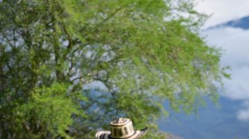 Ganadero en su campo rodeado de montañas en el Departamento del Cauca en Colombia