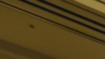 Los demandantes aseguran que los rifles son usados para actividades de caza o para usos recreativos.