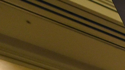 Los demandantes aseguran que los rifles son usados para actividades de caza o para usos recreativos.