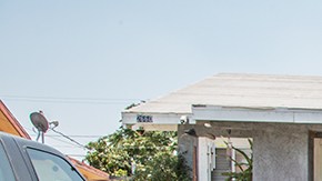 Benjamin "Ben" Dido, un nuevo personaje creado por el comediante de Culture Clash, Herbert Siguenza, como crítica a los "latinos del establishment político".