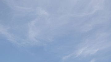 El precandidato Bernie Sanders realiza uno de sus mítines de campaña en Palo Alto, California este miércoles.