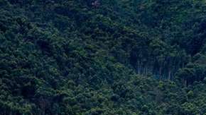 Los niveles de evasión en Colombia superan los presupuestos anuales para salud y educación