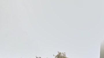 Los pandilleros mantenían aterrorizados a los residentes de Cypress Hills Houses.