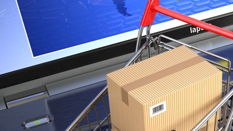 Las actividades relacionacas con el comercio electrónico son las que más crecerán porcentualmente