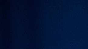 Doctor Quarantined At NYC's Bellevue Hospital After Showing Symptoms Of Ebola