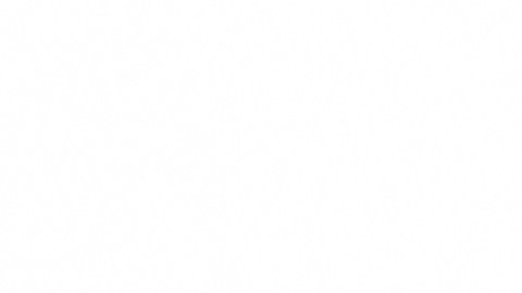 La educación es uno de los pilares fundamentales en el primer paso al éxito.