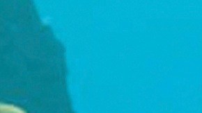 Ellen DeGeneres vuelve a dar voz a Dory en "Finding Dory".