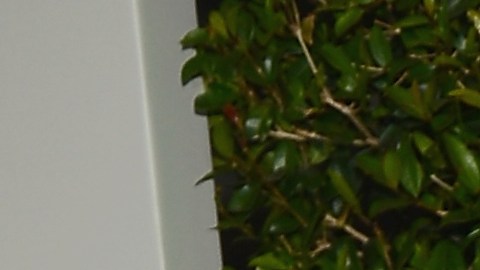 La actriz colombiana Sofáa Vergara compartió con sus seguidores de Instagram la inauguración del verano con la nueva decoración de su piscina.