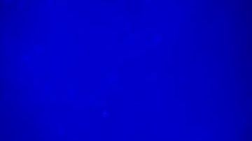 "Si no canto Perdóname el público no queda satisfecho", dice el boricua.