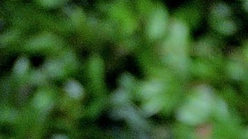 Salma y Henri Pinault se casaron en 2007 y tienen una hija de 8 años, Paloma Valentina.