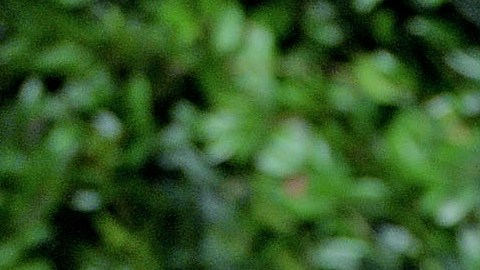 Salma y Henri Pinault se casaron en 2007 y tienen una hija de 8 años, Paloma Valentina.