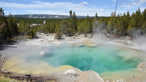 Así lucen las fuentes termales en el área de la cuenca de géiseres de Norris en Yellowstone.