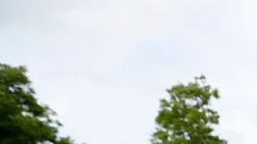 Varias personas dejan flores en homenaje a la leyenda del boxeo Muhammad Ali Muhammad Ali en Louisville, Kentucky.