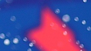 Tony Stewart celebra tras ganar la NASCAR Sprint Cup Series Toyota/Save Mart 350 en el Sonoma Raceway.