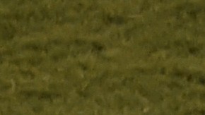 Lionel Messi no puedo conducir a Argentina al título de la Copa América.