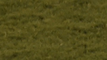 Lionel Messi no puedo conducir a Argentina al título de la Copa América.