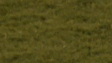 Lionel Messi no puedo conducir a Argentina al título de la Copa América.