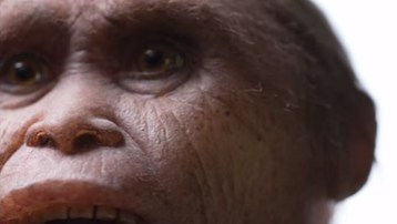 Los homínidos tienen una antigüedad de unos 700,000 años.